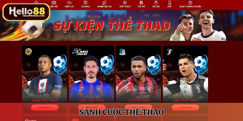 Sảnh cược thể thao